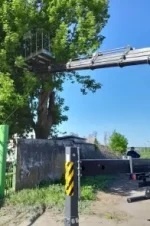 Автовишка STC на базі DASAN